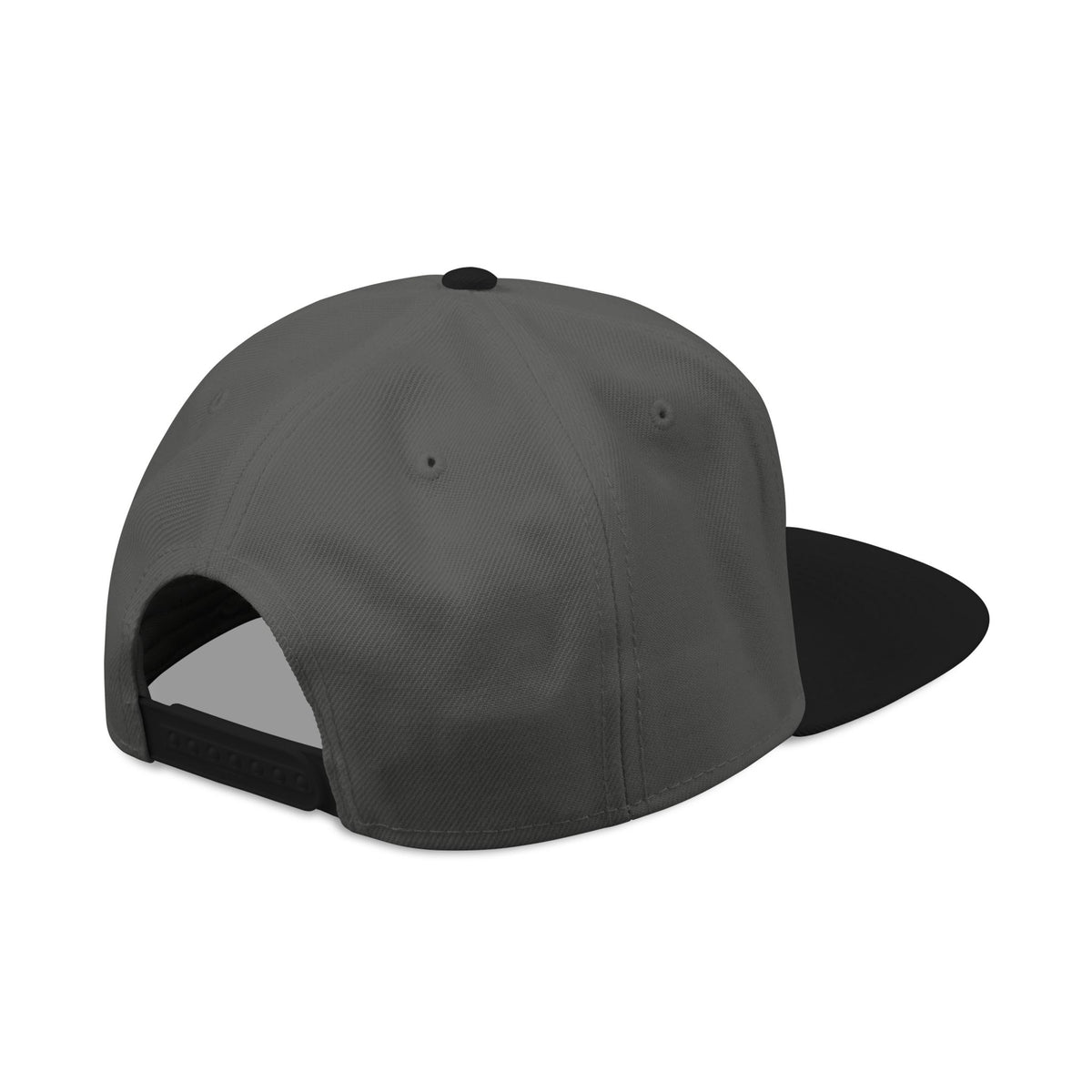 Birdie Snapback, Black/Charcoal gray/Charcoal gray, Back view